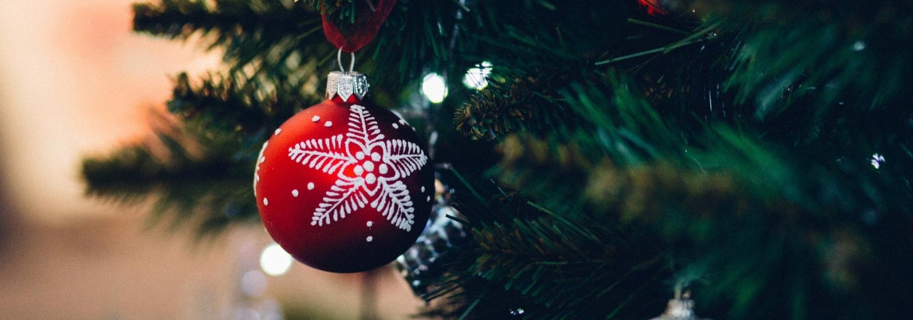 Best Christmas Gift Ideas - We Wander