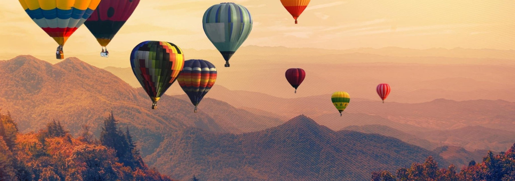Best Original Birthday Gift with Delivery Australia Wide - We Wander