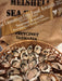 Oyster Farm Shuck And Chat